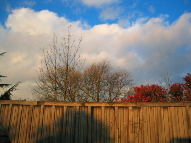 Picture 018